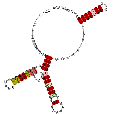 secondary structure
