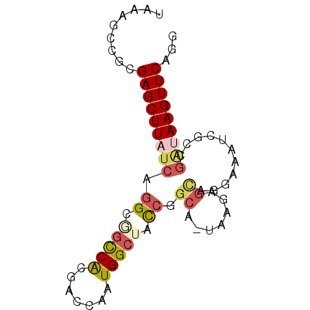secondary structure