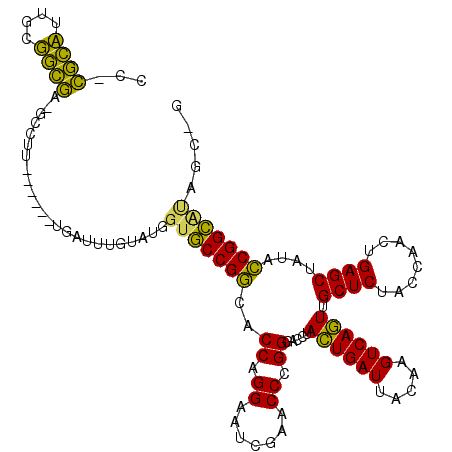 secondary structure