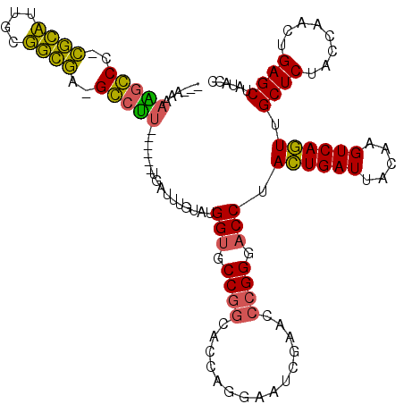 secondary structure