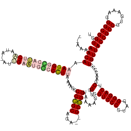 secondary structure