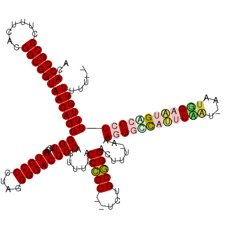 secondary structure