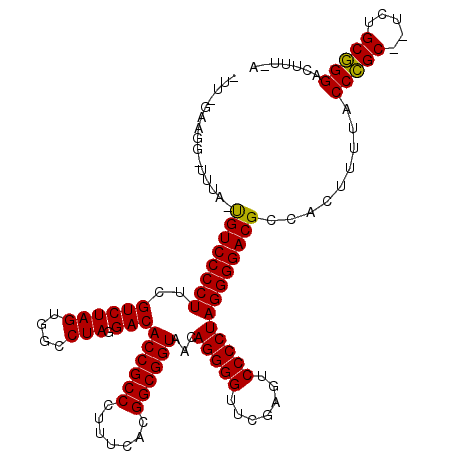 secondary structure