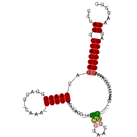 secondary structure