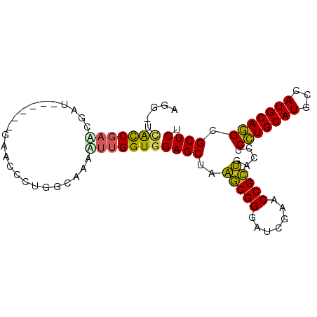 secondary structure