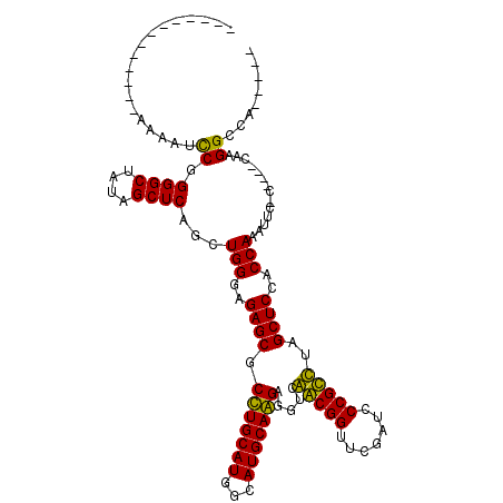 secondary structure