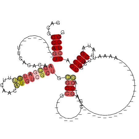 secondary structure
