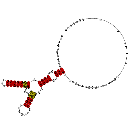 secondary structure