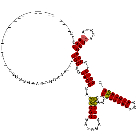 secondary structure