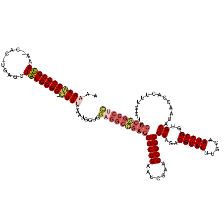 secondary structure
