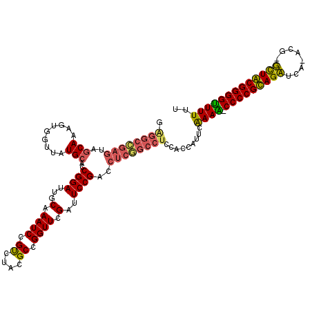 secondary structure