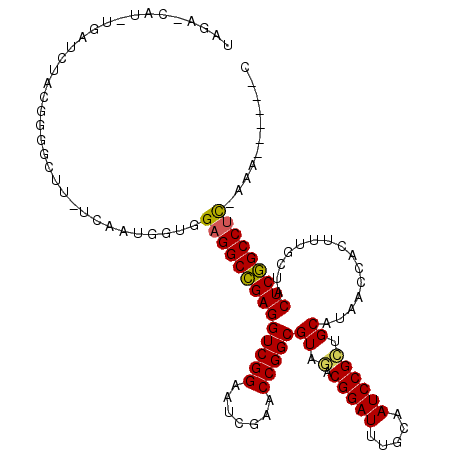 secondary structure