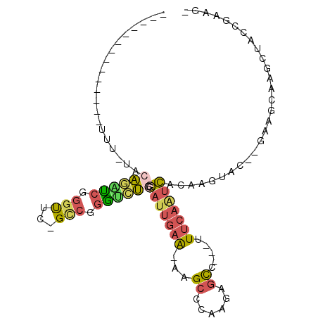 secondary structure