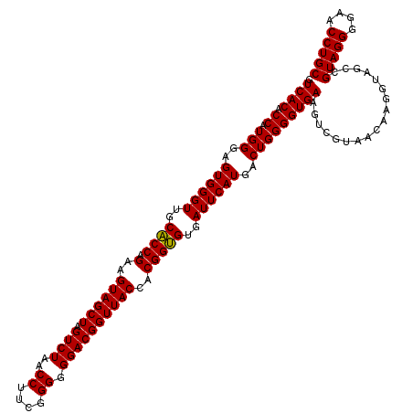 secondary structure
