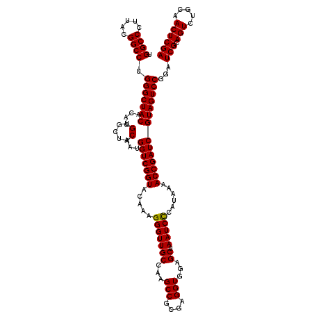 secondary structure