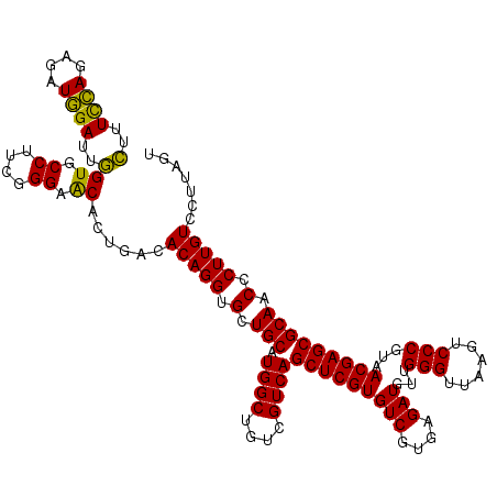 secondary structure