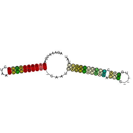 secondary structure