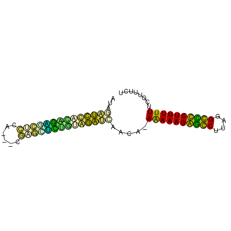 secondary structure