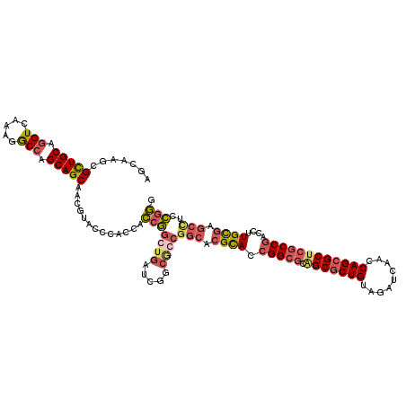 secondary structure