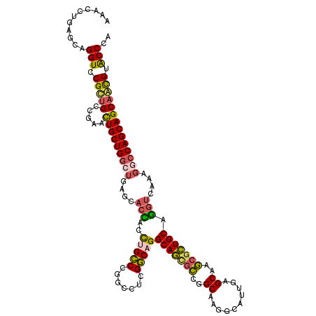 secondary structure