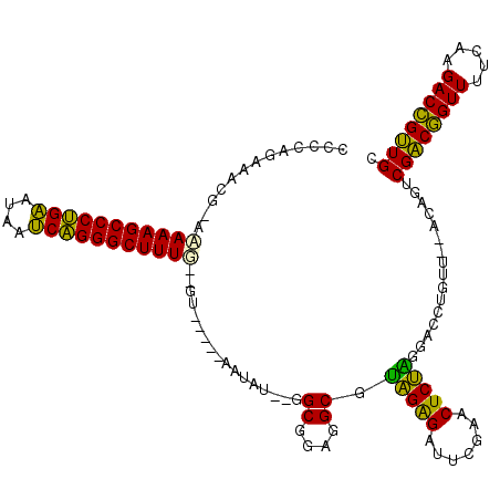 secondary structure