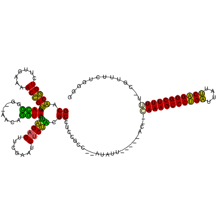 secondary structure