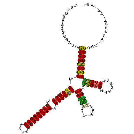 secondary structure