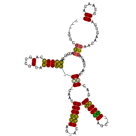 secondary structure