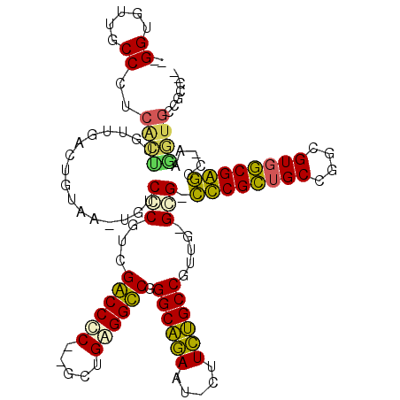secondary structure