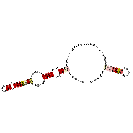 secondary structure