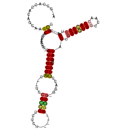 secondary structure