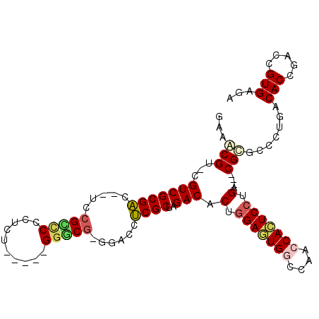 secondary structure