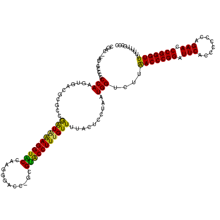 secondary structure