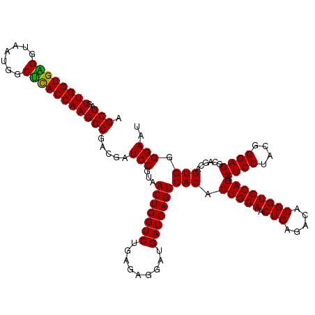 secondary structure