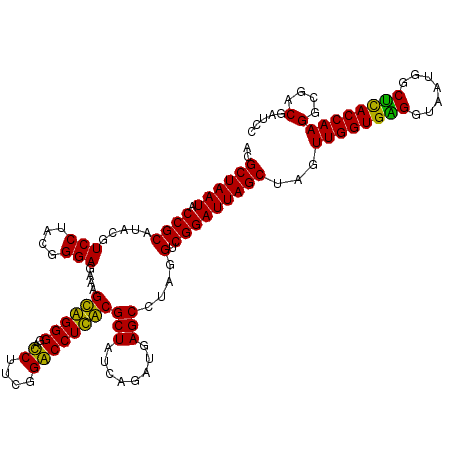 secondary structure