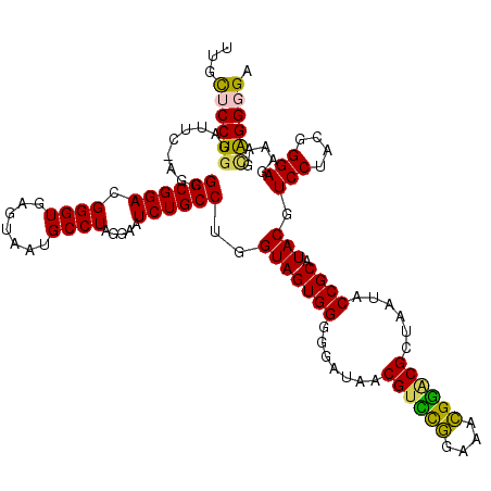 secondary structure
