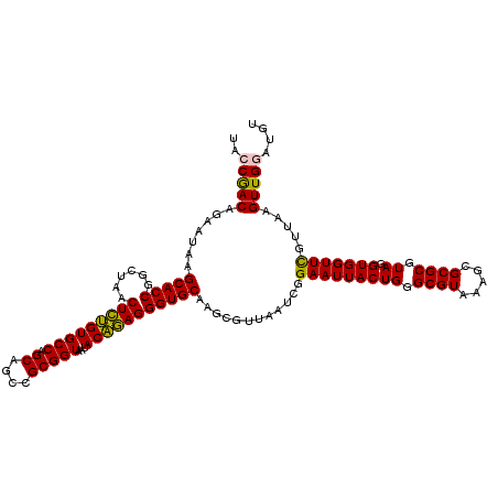 secondary structure
