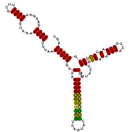 secondary structure
