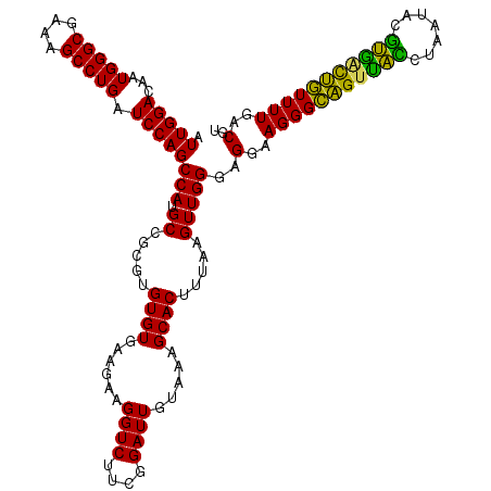 secondary structure