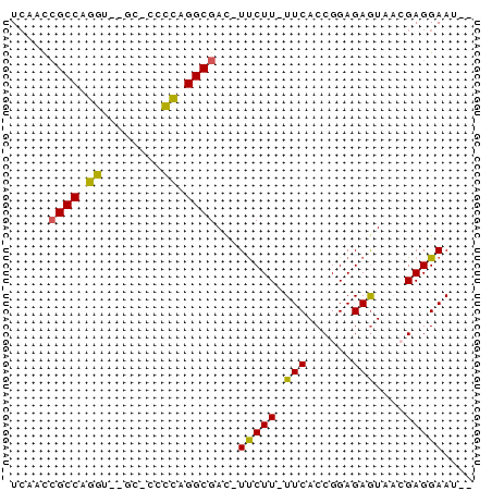 dotplot