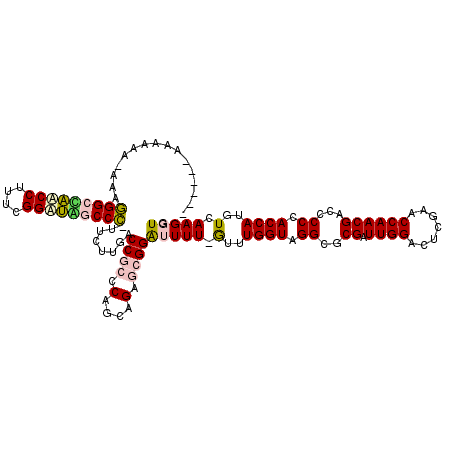 secondary structure