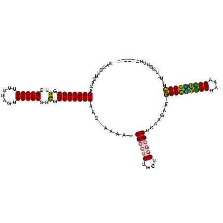 secondary structure