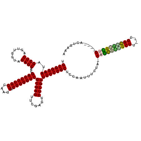 secondary structure