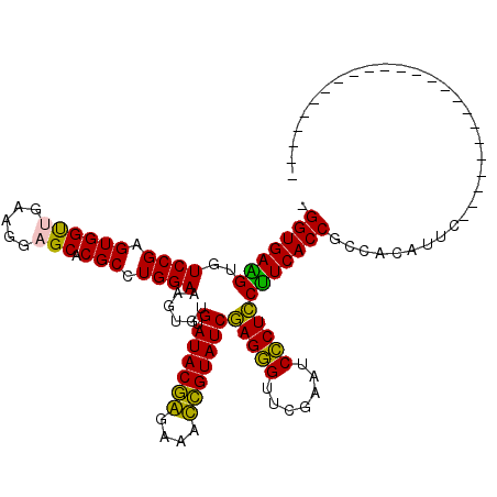 secondary structure