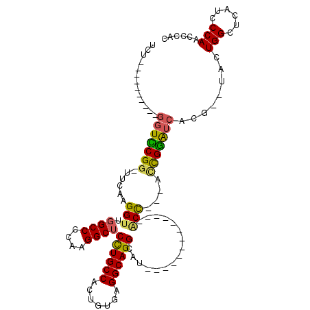 secondary structure