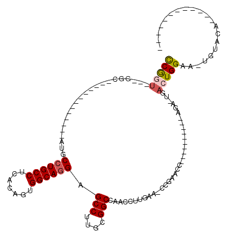 secondary structure