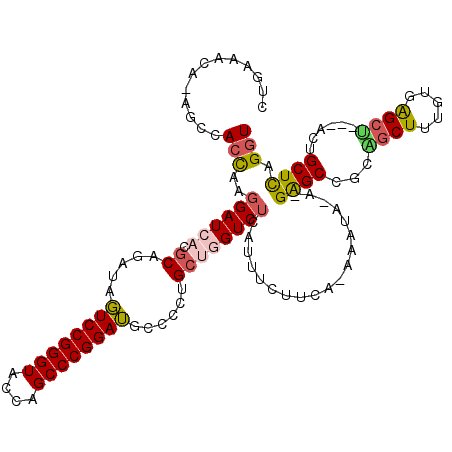secondary structure