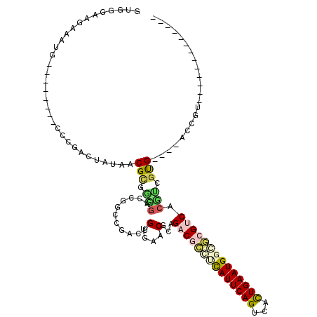 secondary structure