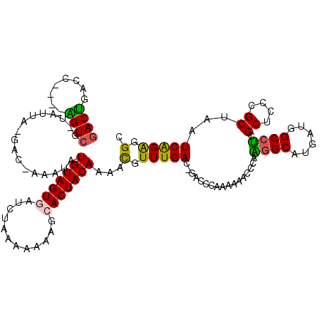 secondary structure