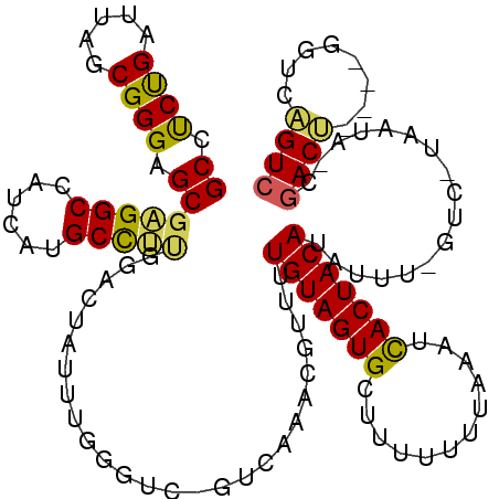 secondary structure